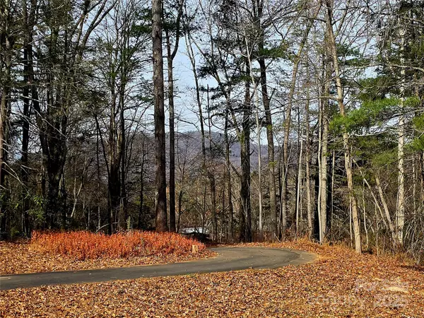 Fairview, NC 28730,90 Joe Jenkins RD