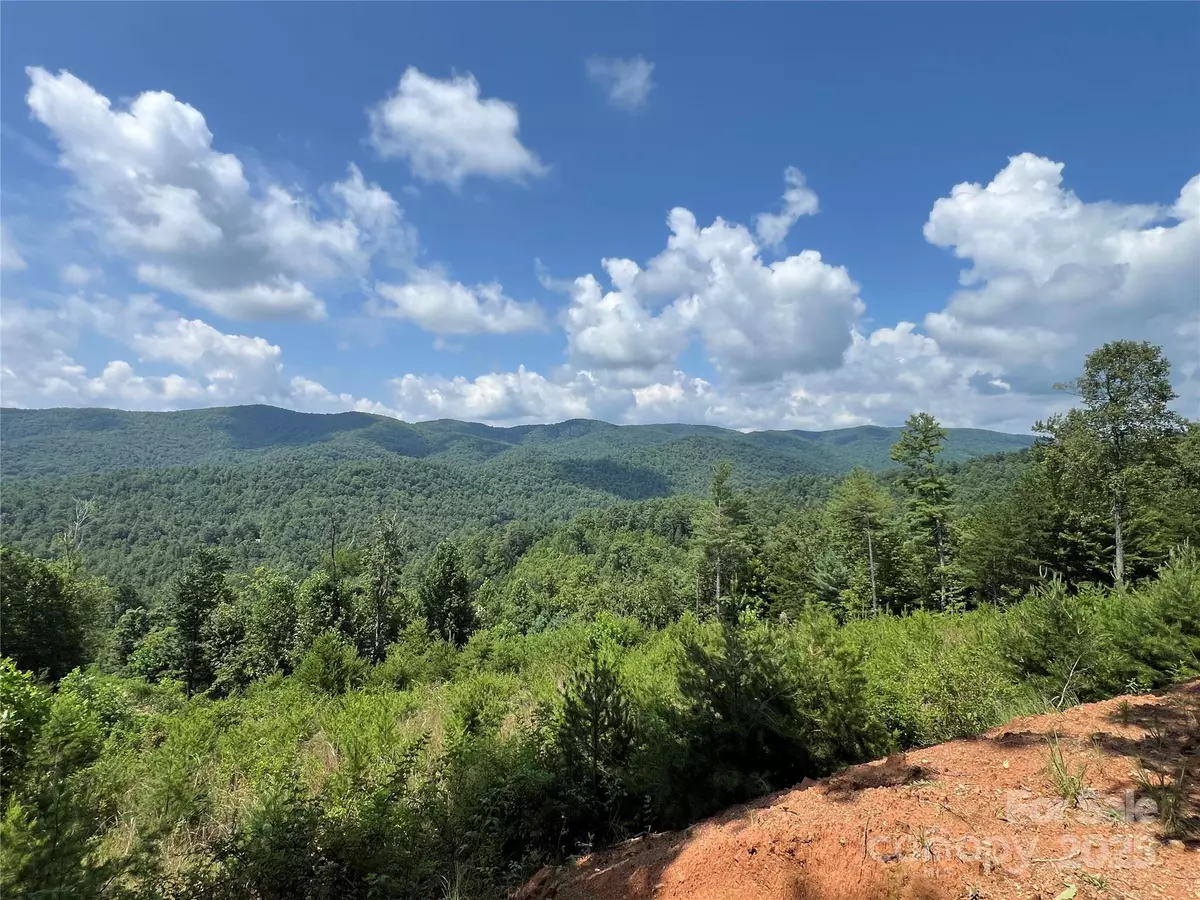 Purlear, NC 28665,TBD Lazy Bear LN