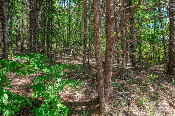 Lot 12 Meadow Crossing DR, Rutherfordton, NC 28139