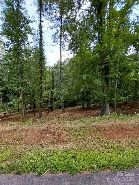 Valdese, NC 28690,105/113 Edgewater PT NW #244/245