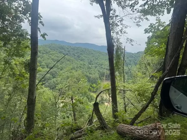 Burnsville, NC 28714,000 N Satellite Mountain RD N