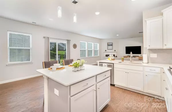 Huntersville, NC 28078,17217 River Race DR