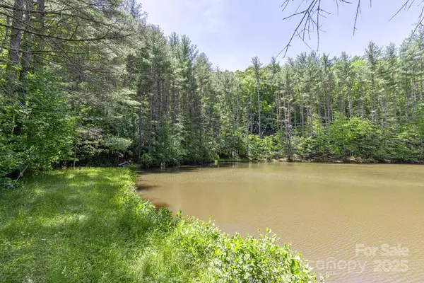 Burnsville, NC 28714,9999 River Edge DR #2
