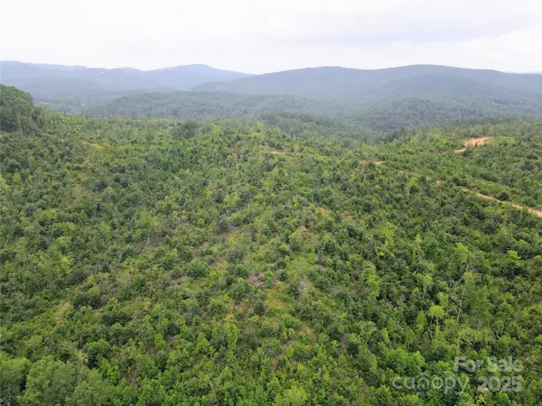 Morganton, NC 28655,V/L Youngs Creek RD