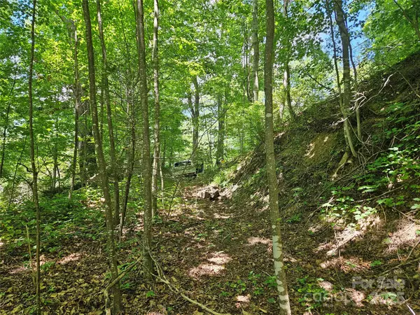 Maggie Valley, NC 28751,99999 Maplewood DR