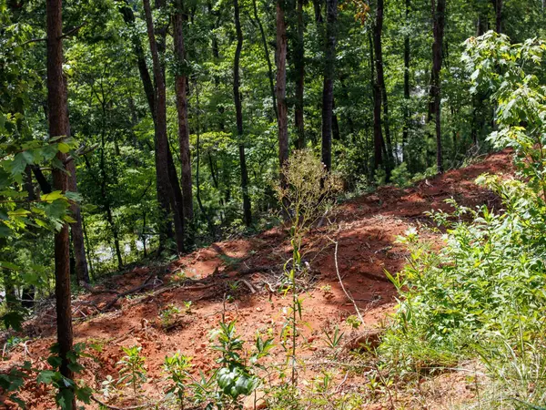 Franklin, NC 28734,9999 Kimberly LN #18