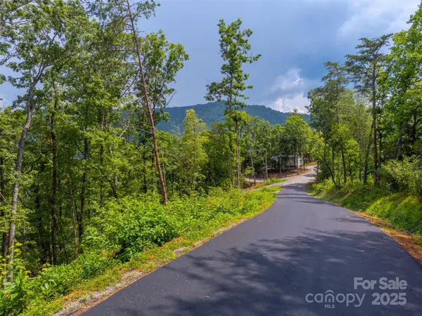 Franklin, NC 28734,9999 Kimberly LN #17