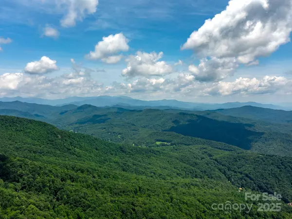 Hendersonville, NC 28792,39.99 Acres Misty Dawn CV #5A & 13A