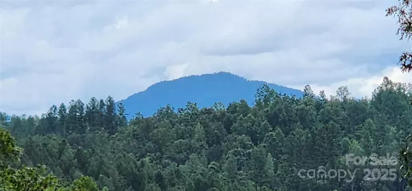 Mill Spring, NC 28756,LOT 3 S Cross Creek TRL