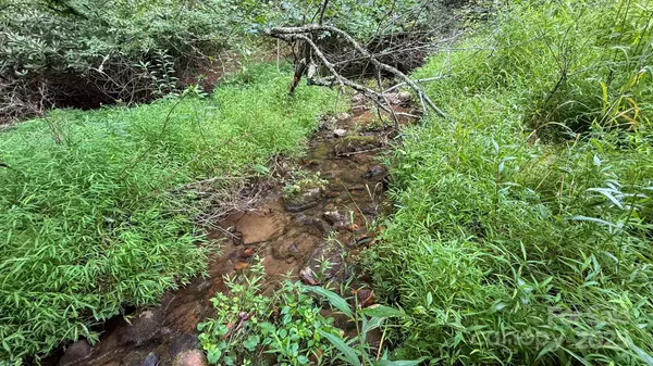 Jefferson, NC 28640,TBD lot 40 Creek CT