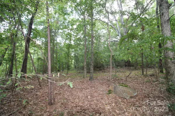 Lot 3 Lake Wylie DR, Rock Hill, SC 29732