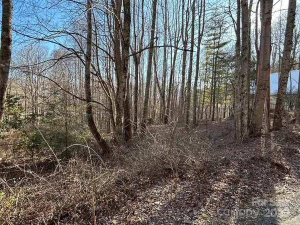 Maggie Valley, NC 28751,25 Little CRK
