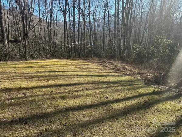 Maggie Valley, NC 28751,25 Little CRK