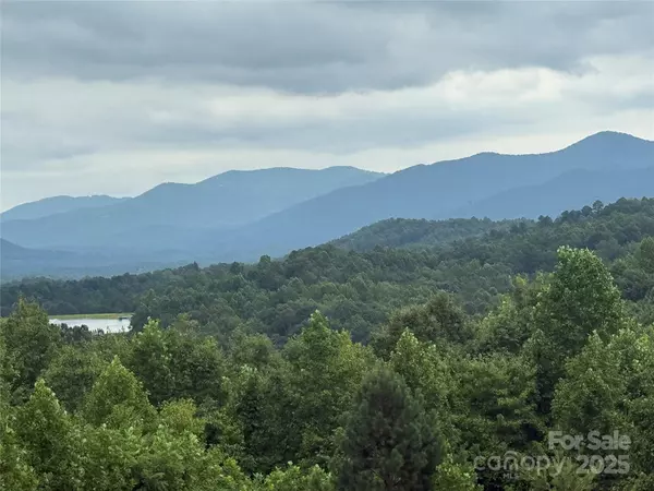 Nebo, NC 28761,166 Coal Pit Mountain DR #359