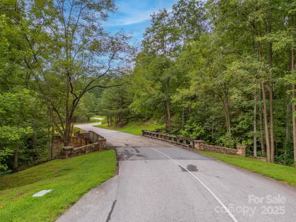 Mill Spring, NC 28756,00 Deep Gap RD E #97