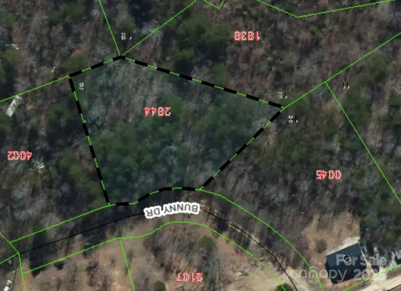 99999 Bunny DR, Marion, NC 28752