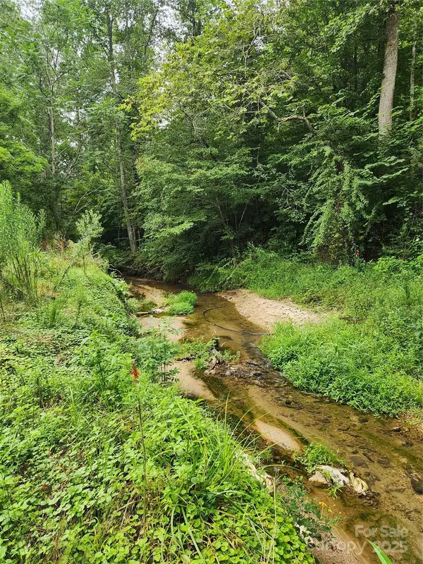 Lenoir, NC 28645,3076/3078 Blue Creek RD