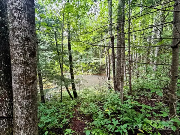 Saluda, NC 28773,Lot 6 Azalea WAY