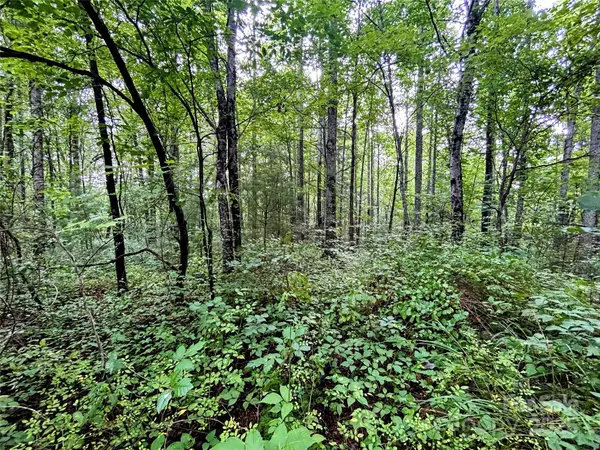Saluda, NC 28773,Lot 5 Azalea WAY