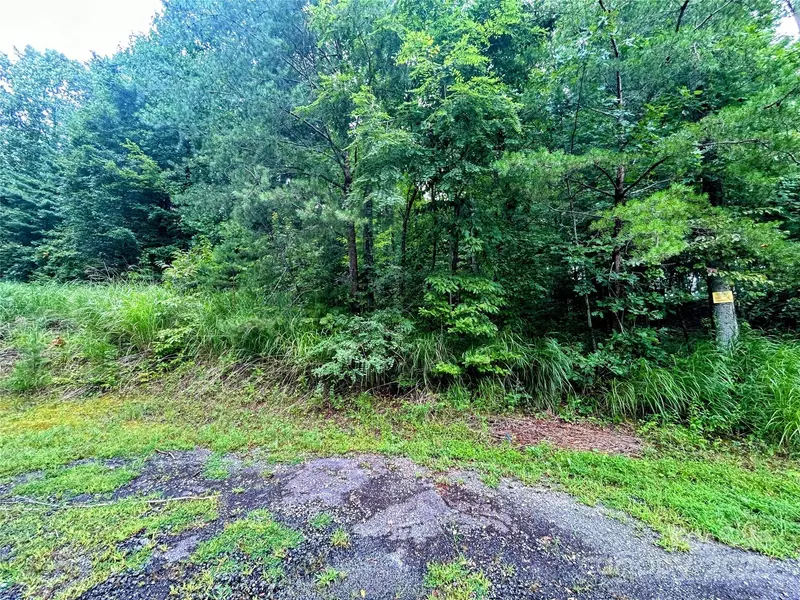 Lot 5 Azalea WAY, Saluda, NC 28773