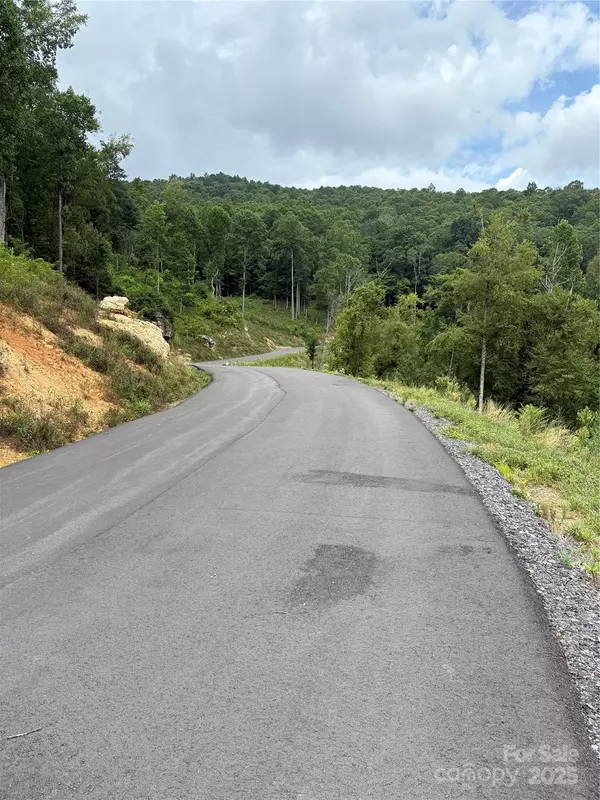Spruce Pine, NC 28777,Lot 41 Summit View Pkwy