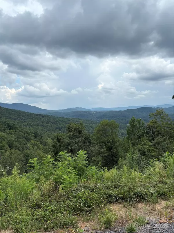 Spruce Pine, NC 28777,Lot 41 Summit View Pkwy