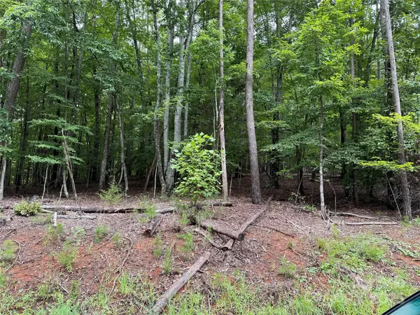 Marion, NC 28752,00 Woodchuck LN #110