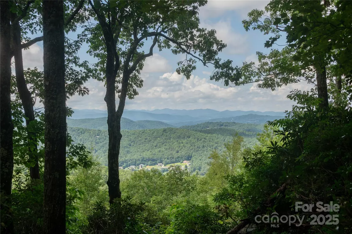 Hendersonville, NC 28739,15 Rambling Creek RD