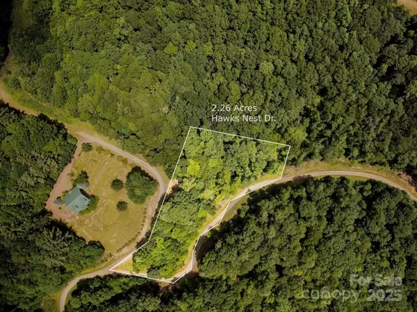 Lot 64 Hawks Nest DR, Burnsville, NC 28714
