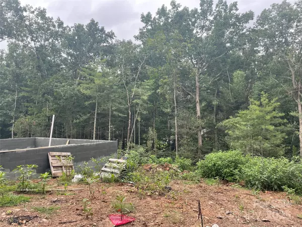 Hickory, NC 28601,125 Riverdell RD