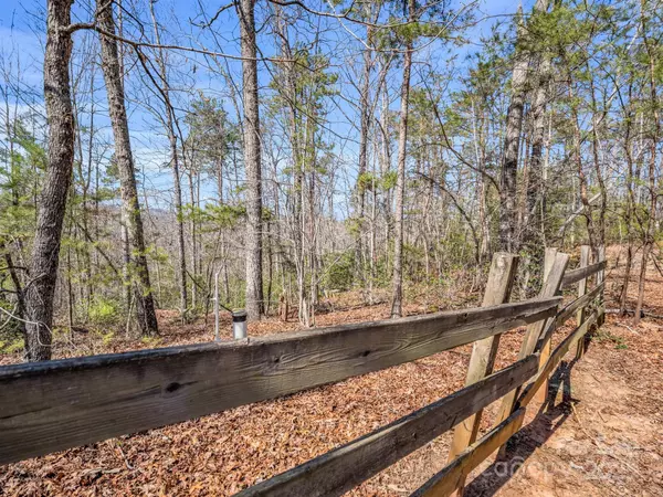 Mill Spring, NC 28756,000 Forester LN #21