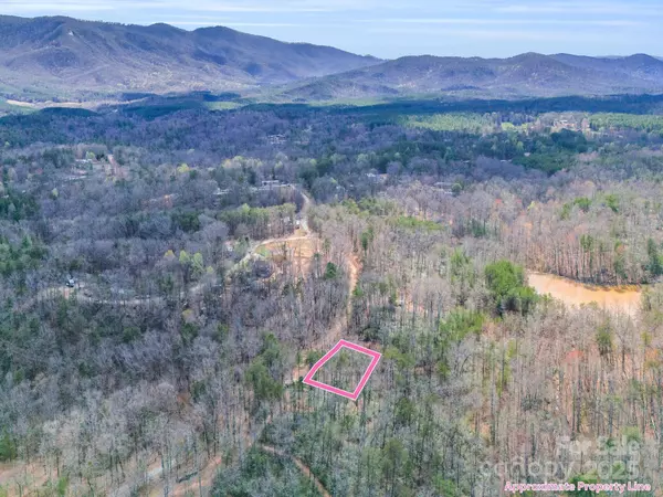 Mill Spring, NC 28756,000 Forester LN #21