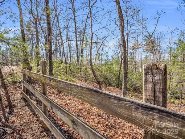 Mill Spring, NC 28756,000 Forester LN #21