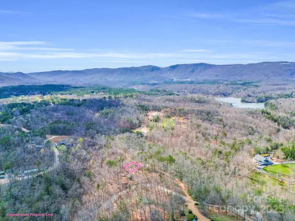 Mill Spring, NC 28756,000 Forester LN #25