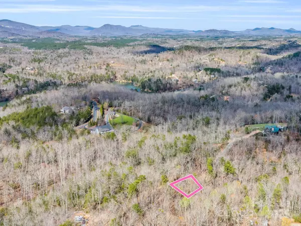 Mill Spring, NC 28756,000 Forester LN #25