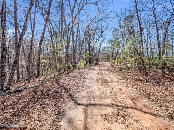 Mill Spring, NC 28756,000 Forester LN #24