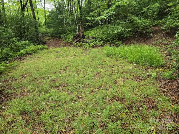 Rosman, NC 28774,147 Hummingbird HOLW