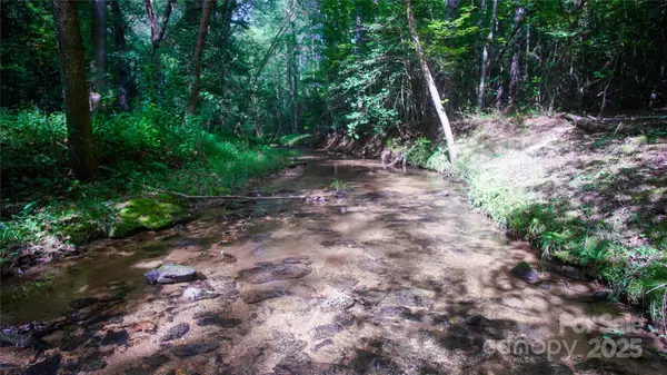 Granite Falls, NC 28630,00 Scenic LN #180