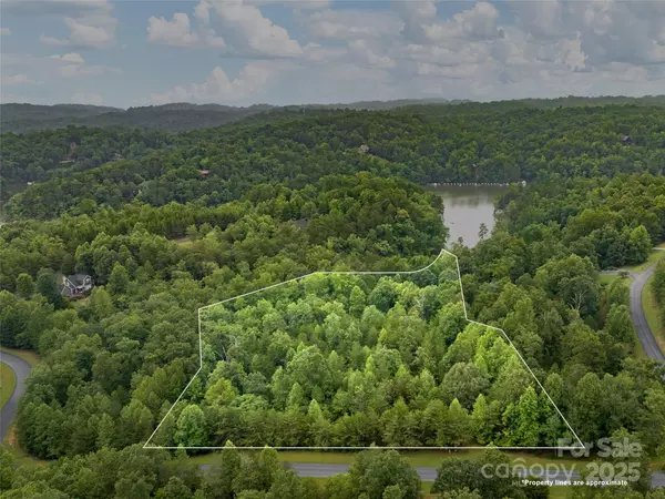 Lot #28 Parkway North RD #28, Mill Spring, NC 28756
