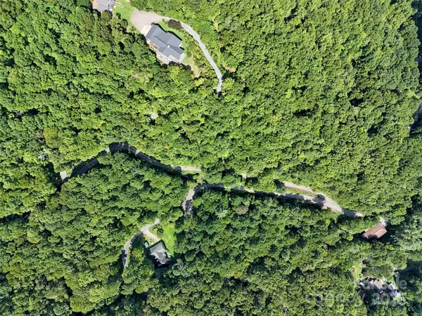Whittier, NC 28789,00 Lot 2 Blue Mist TRL