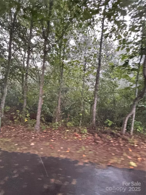 Granite Falls, NC 28630,6468 Ridgeview CIR