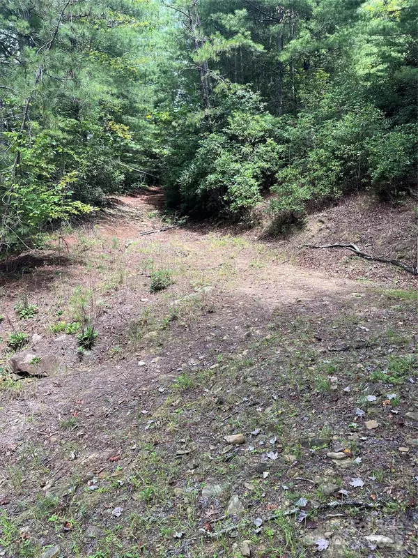 Pisgah Forest, NC 28768,TBD Normcol RD