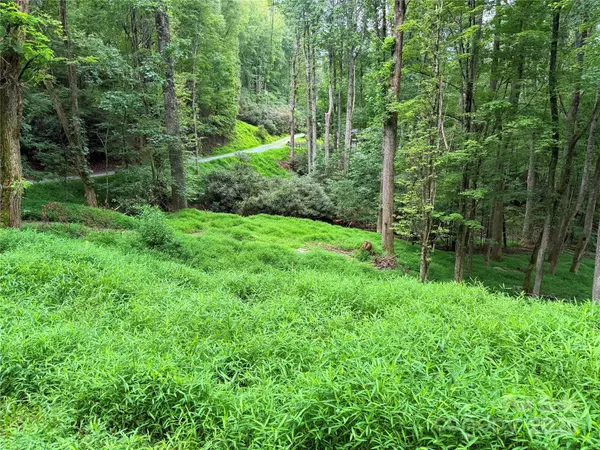 Boone, NC 28607,TBD Tarleton CIR #56/New 2