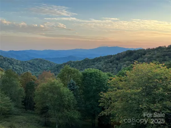 Bakersville, NC 28705,283 Mitchell View DR