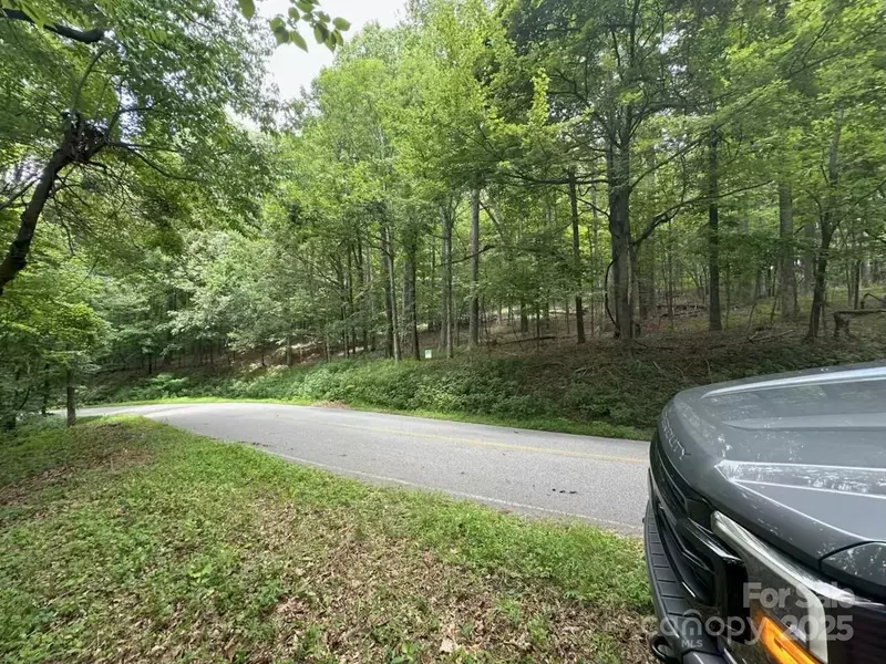 0000 Skyuka Mountain RD #20, Columbus, NC 28722