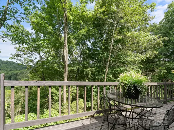 Brevard, NC 28712,632 Dvdisdi CT