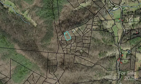 Hayesville, NC 28904,24 Anns LN