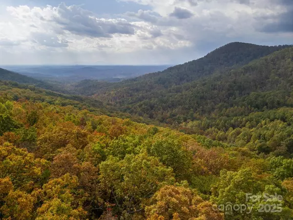 Bostic, NC 28018,30 Mountain Lookout DR