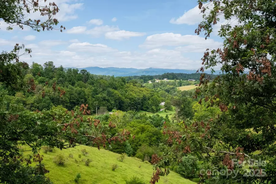 28 Trinity Hills DR, Weaverville, NC 28787