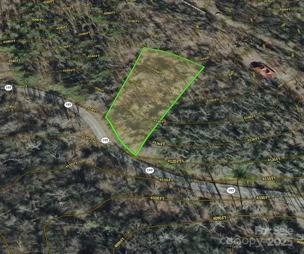 Burnsville, NC 28714,Lot 21 NC Hwy 197 HWY S
